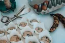 unsplash_5XFx8k3pnxA_Baking Papers.webp